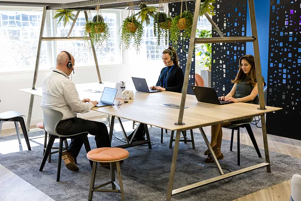 Inside the Bluecube Office at a shared working space with employees working on laptops